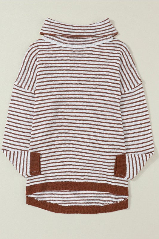 Turtle Neck Knit Sweater